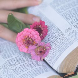 Mujeres poderosas en la Biblia líderes, profetas y revolucionarias